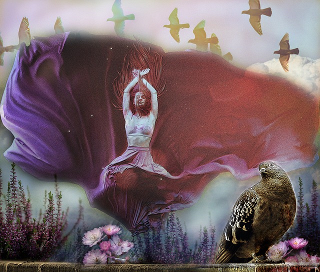 弯道的控制 弯道的控制