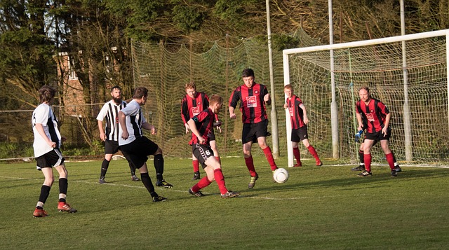 为经验老道 为经验老道