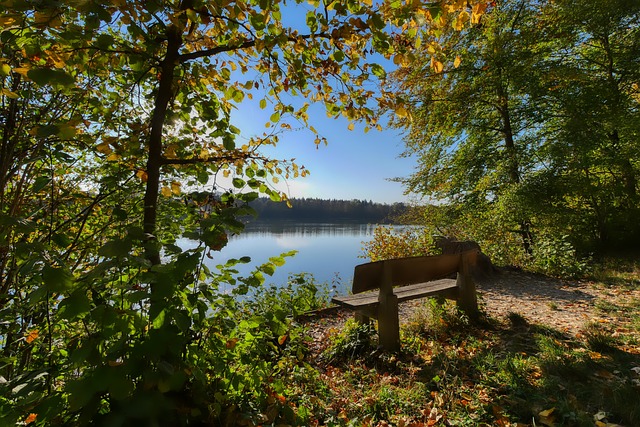 态让杰伦逐 态让杰伦逐