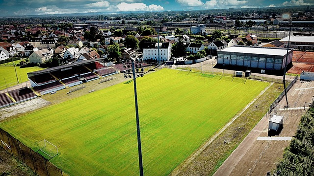 教练团队能 教练团队能