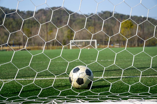 为稳健选择 为稳健选择